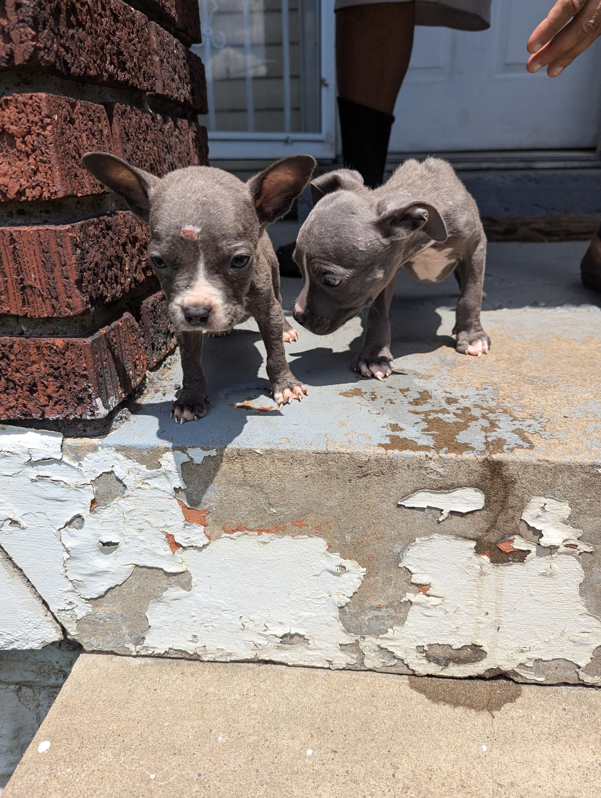 20240707 Cameron Outreach (1) 20240707 Cameron Outreach (1)