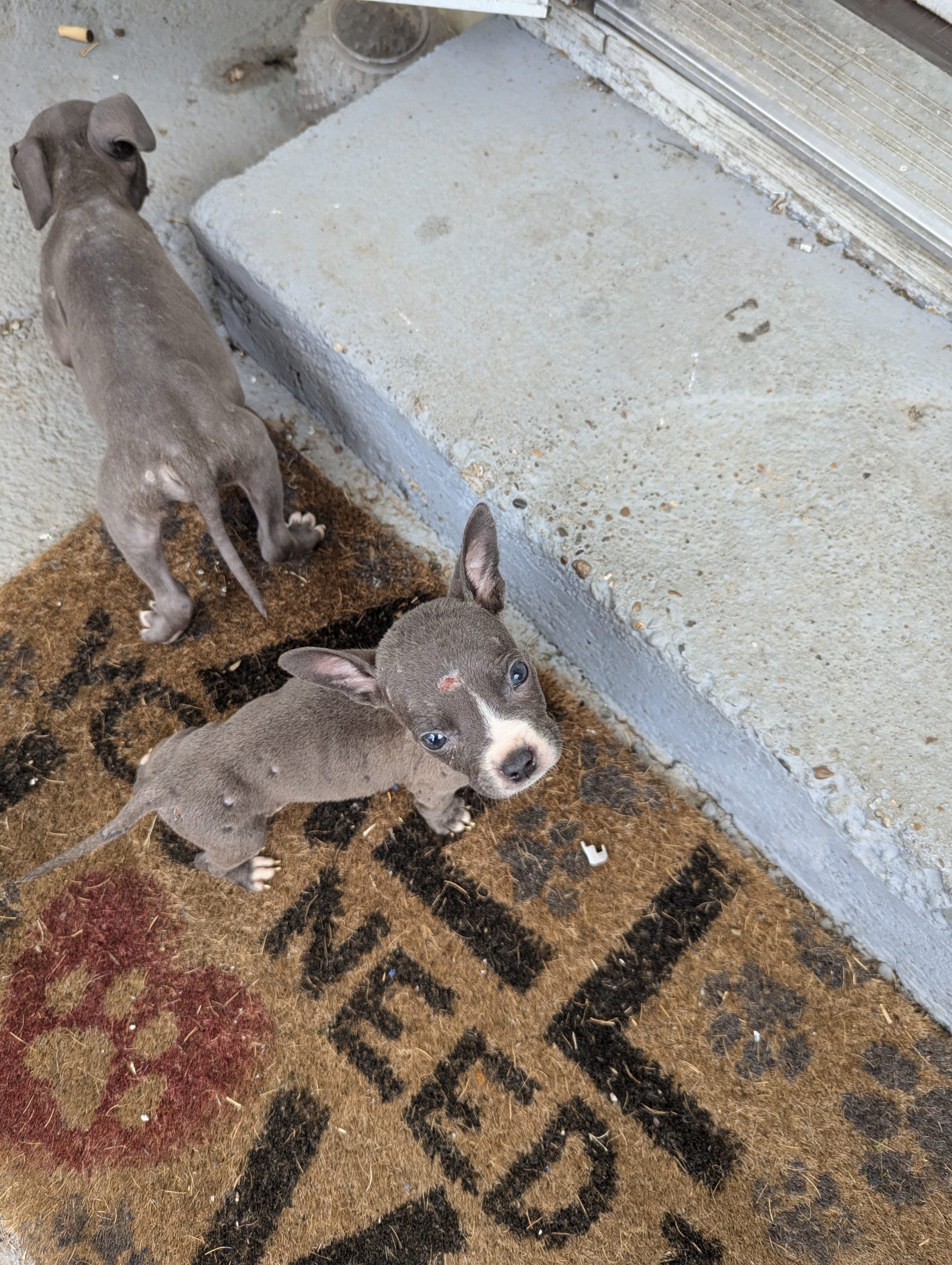 20240707 Cameron Outreach (2) 20240707 Cameron Outreach (2)