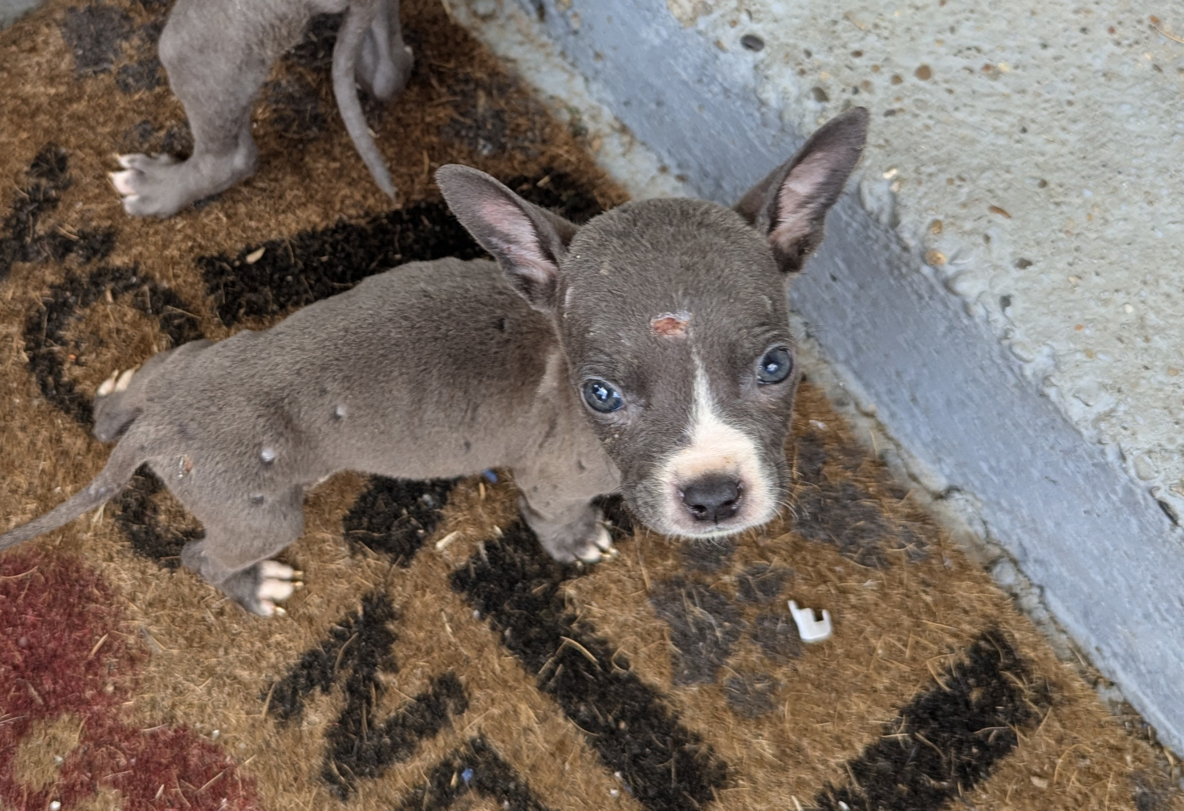 20240707 Cameron Outreach (8) 20240707 Cameron Outreach (8)