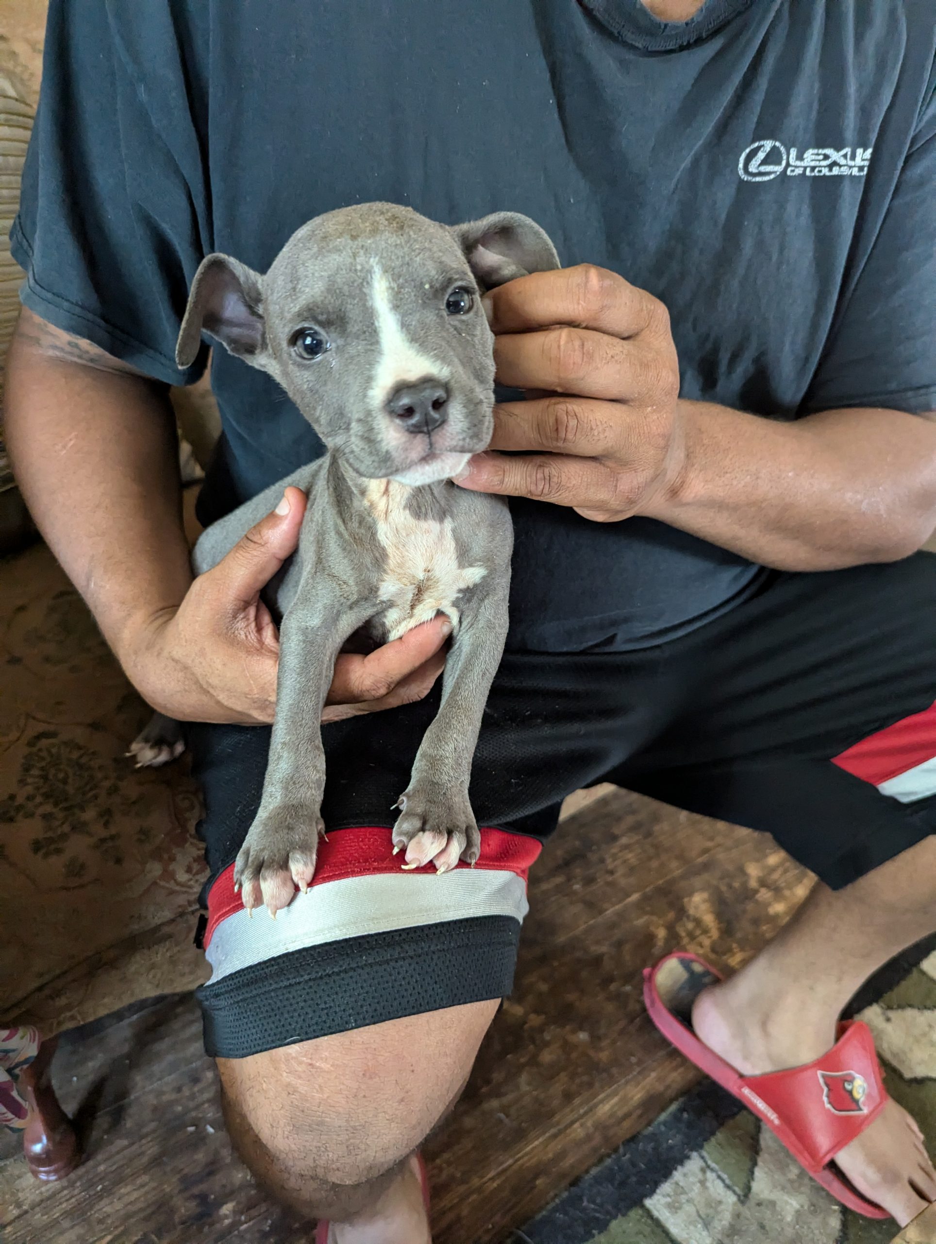 20240715 Cameron Outreach 20240715 Cameron Outreach