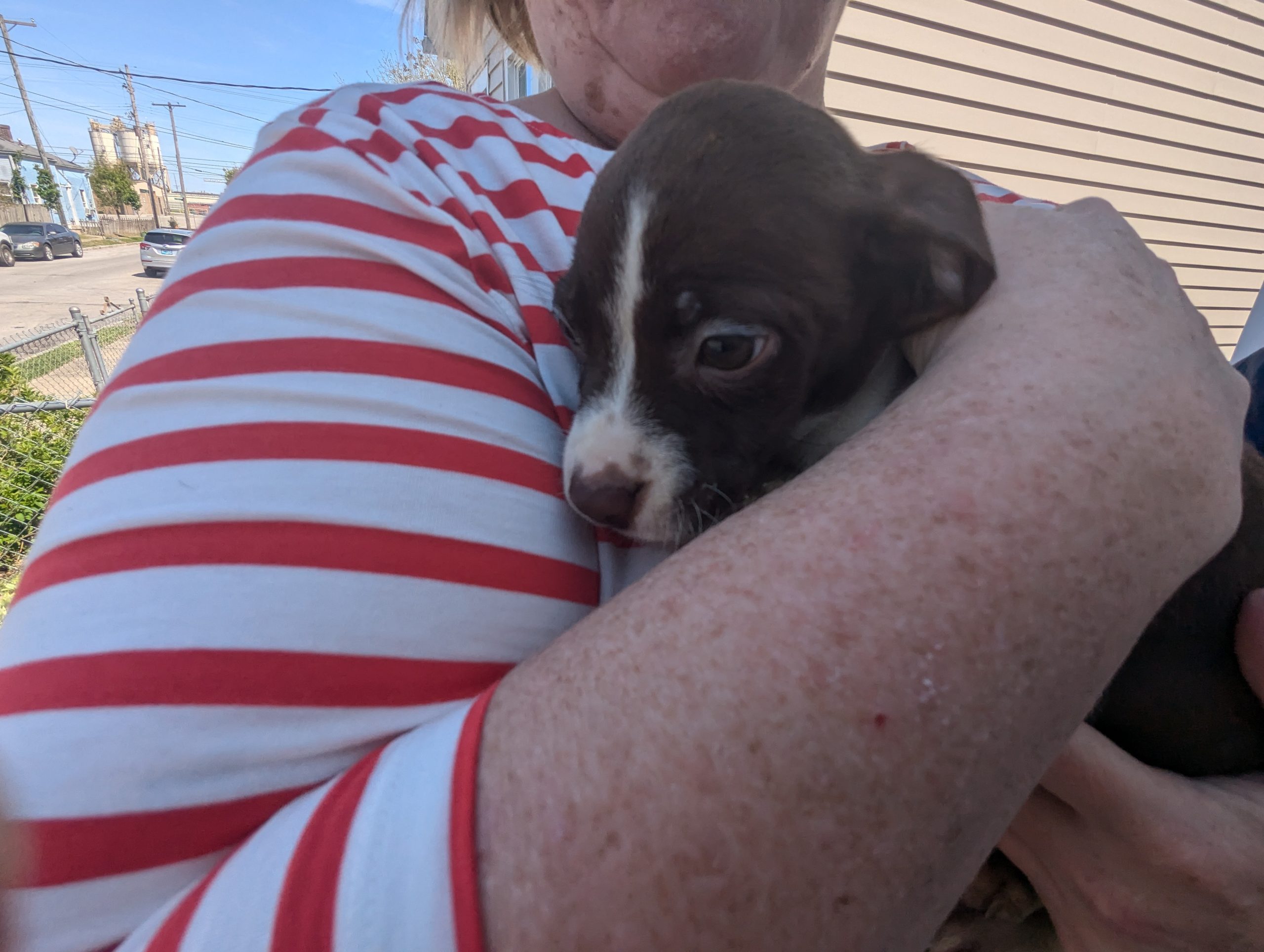 20250416 Joye Outreach (3) 20250416 Joye Outreach (3)