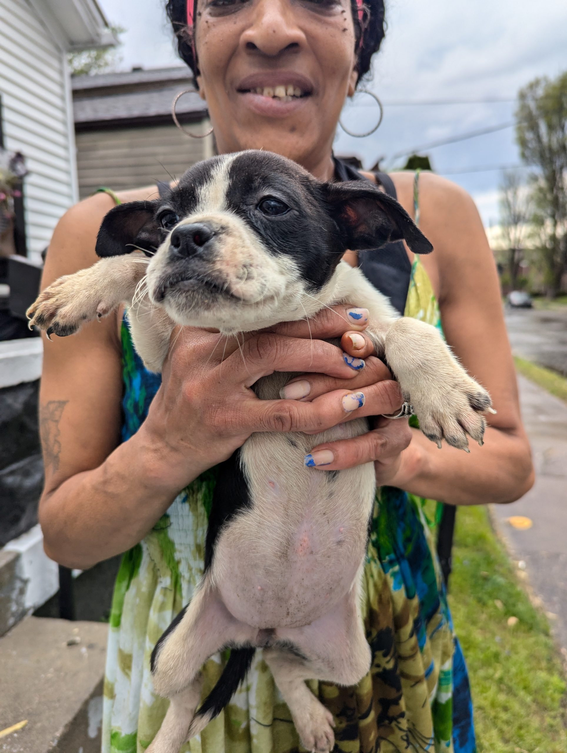 20250419 Joye Outreach Pet Familly (7) 20250419 Joye Outreach Pet Familly (7)