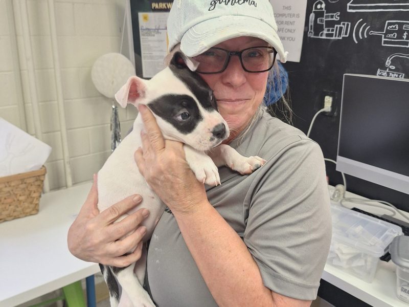 Copy of 20250910_115313