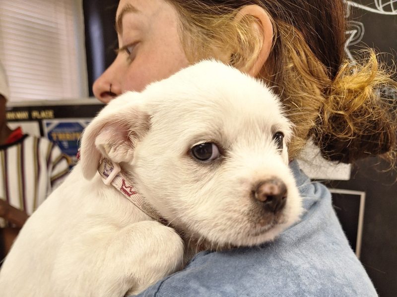 Copy of 20250910_140030