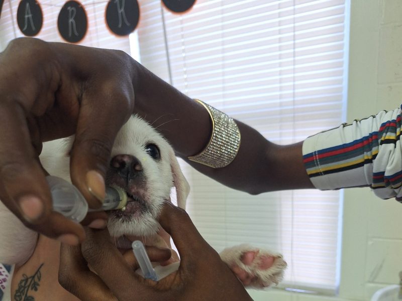 Copy of 20250910_140251