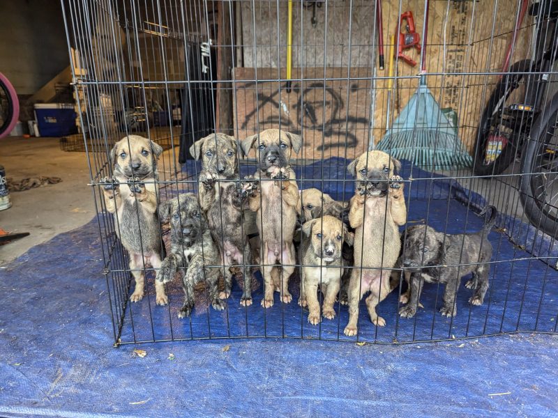 Copy of Copy of PXL_20250521_223115211