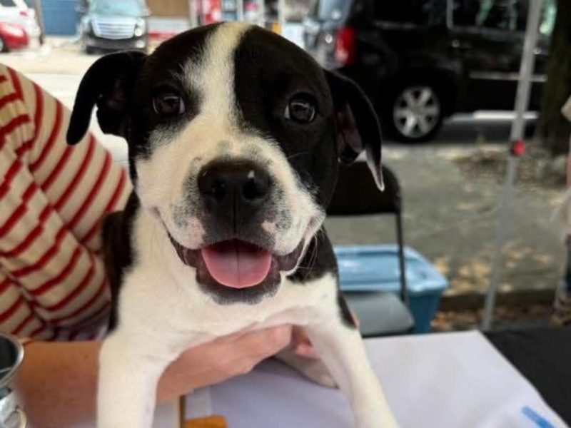 Copy of FB_IMG_1748795675733