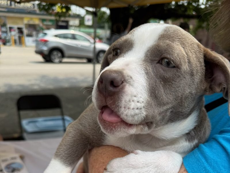 Copy of IMG_20250601_100552