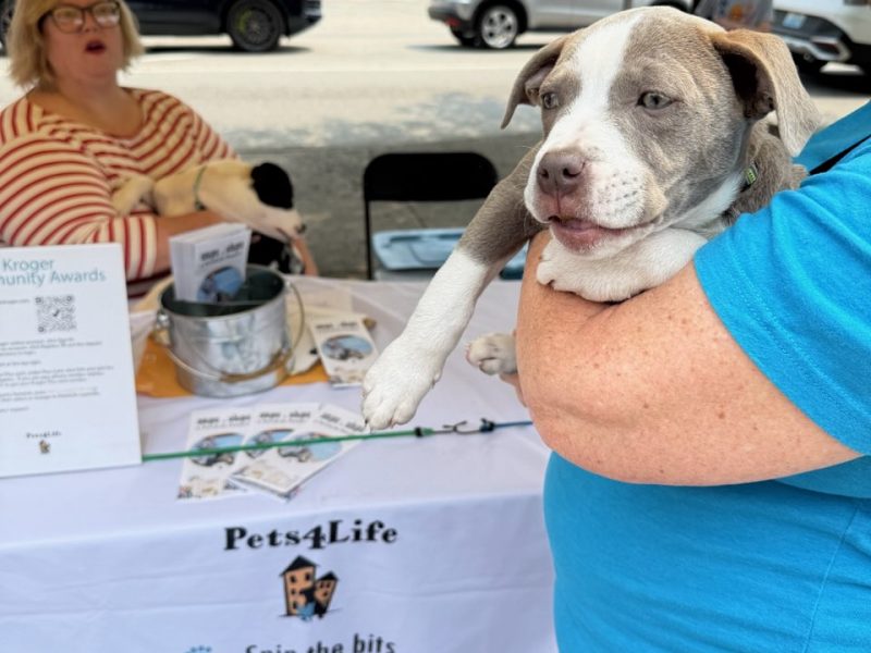 Copy of IMG_20250601_100600