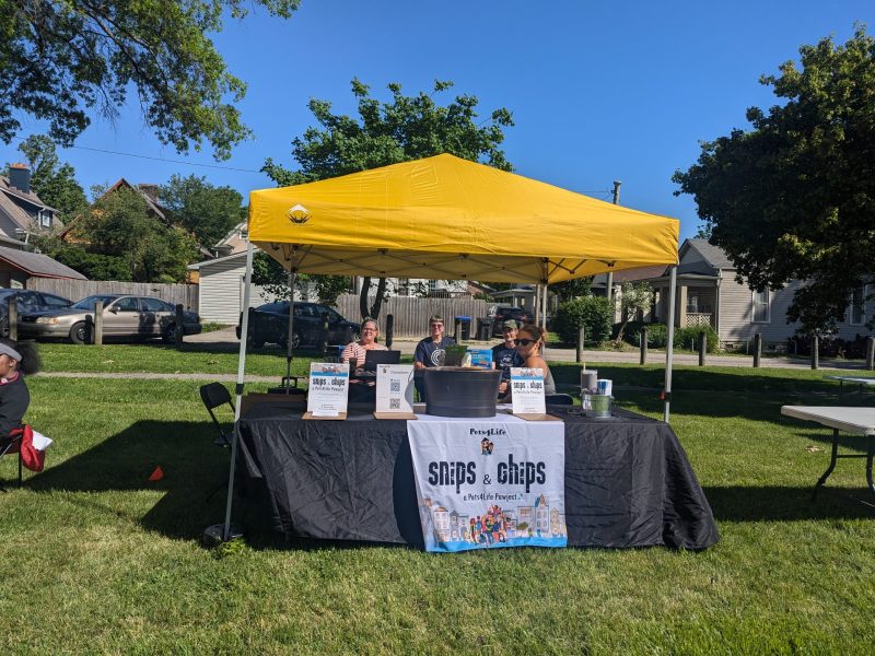 Copy of PXL_20250517_141122344