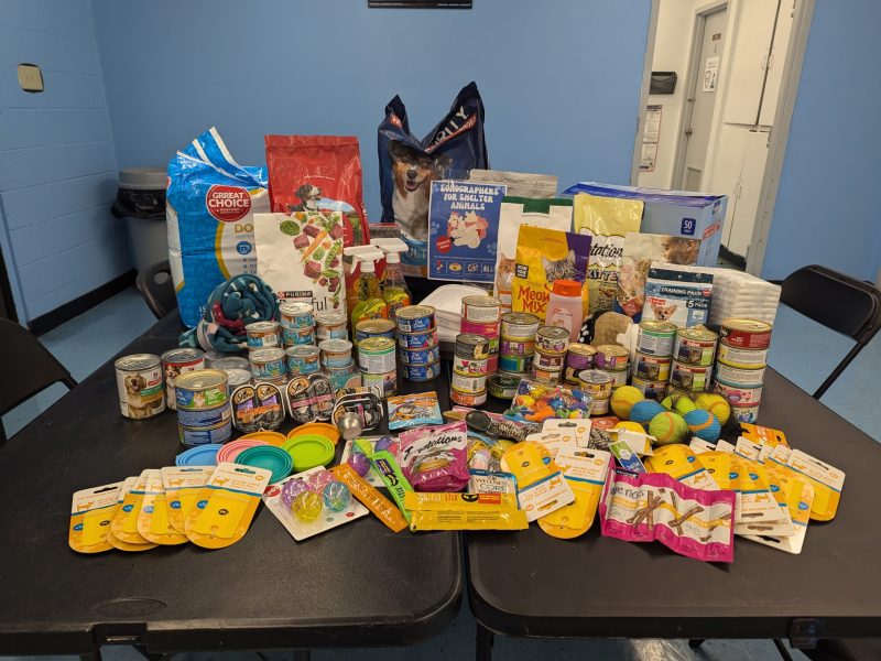 Copy of PXL_20250530_190320056