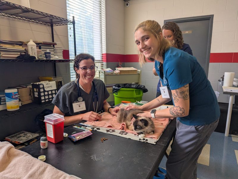 Copy of PXL_20250803_174412836