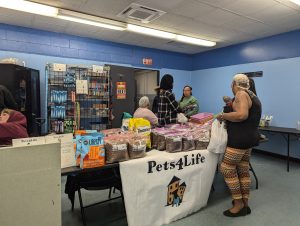 PXL_20250322_180206728-300x226