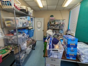 PXL_20250416_173051755-300x226