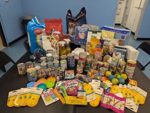 PXL_20250530_190328331-300x226