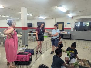 PXL_20250723_163628005-300x226