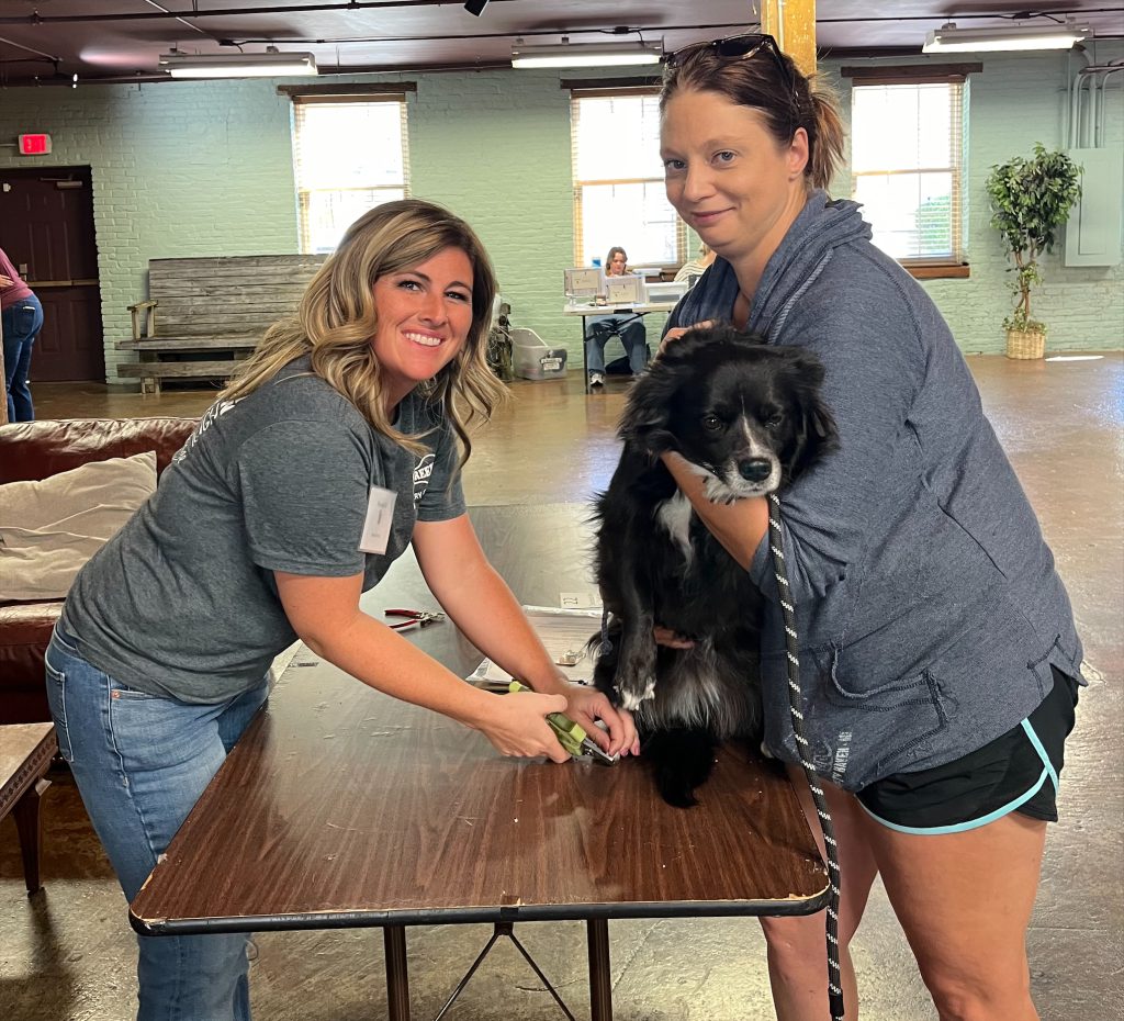 2024 Year-End Results: Celebrating Growth and Impact