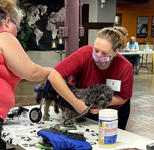 How a Birthday Fundraiser Changed A Pet’s Life!