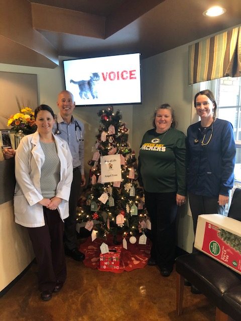 Pets4Life Holiday Angel Trees