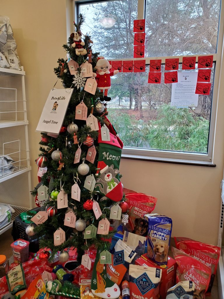 Pets4Life Angel Tree Program Results