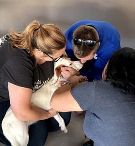 Club K9 Dog Park Bar Community Day