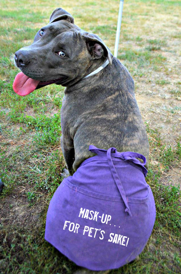 Pets4Life Fur-Real FUN-Raiser (Ended)