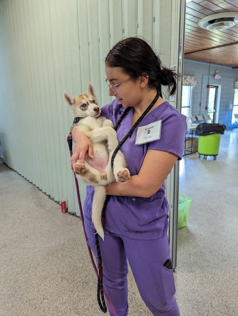 Pets4Life Louisville 2023 Year-End Summary