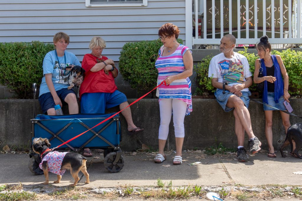 Pets4Life Louisville 2019 Summary